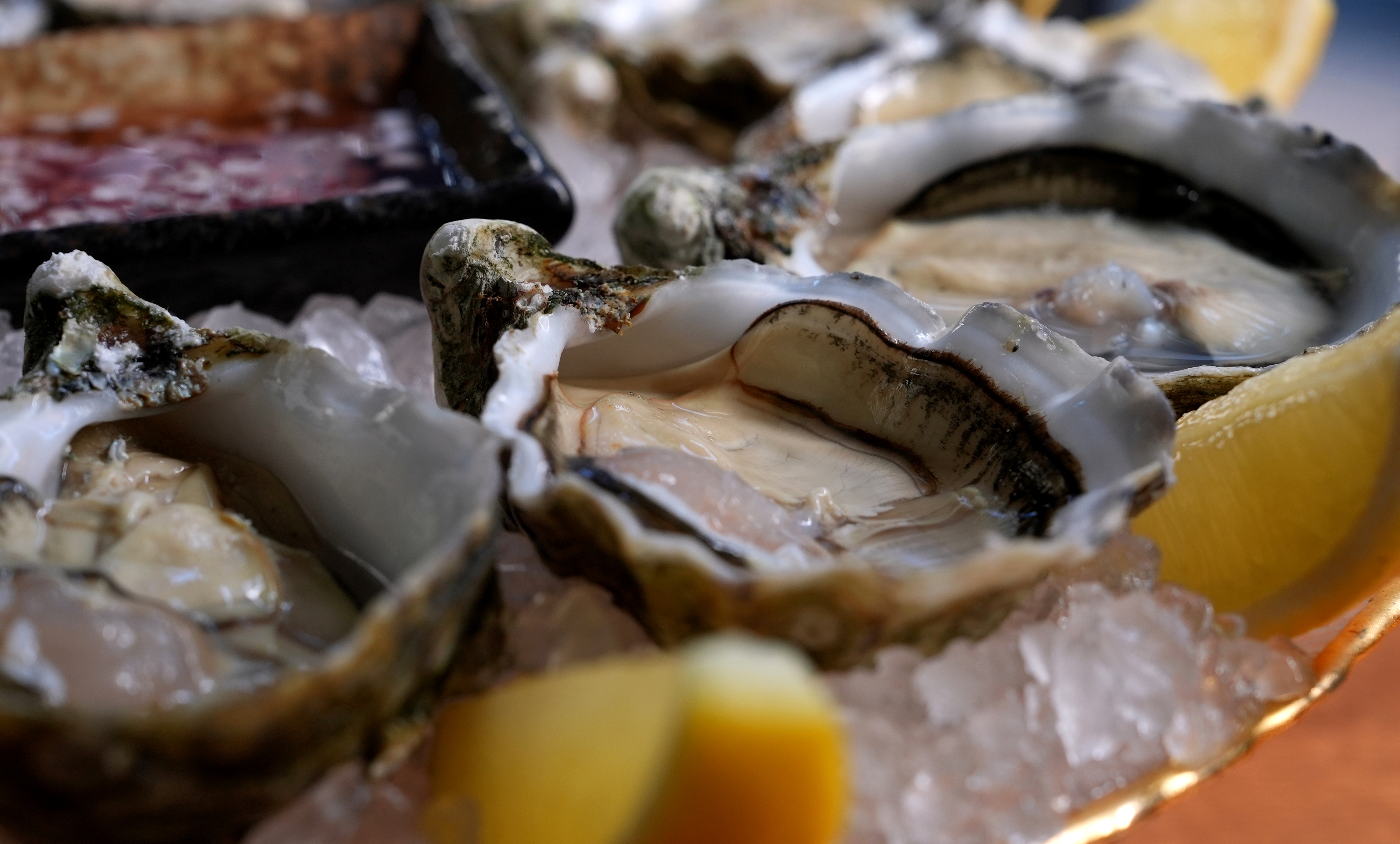 Hvorfor smaker østers forskjellig?